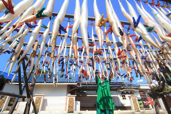 Potensi Perikanan dan Kelautan Desa